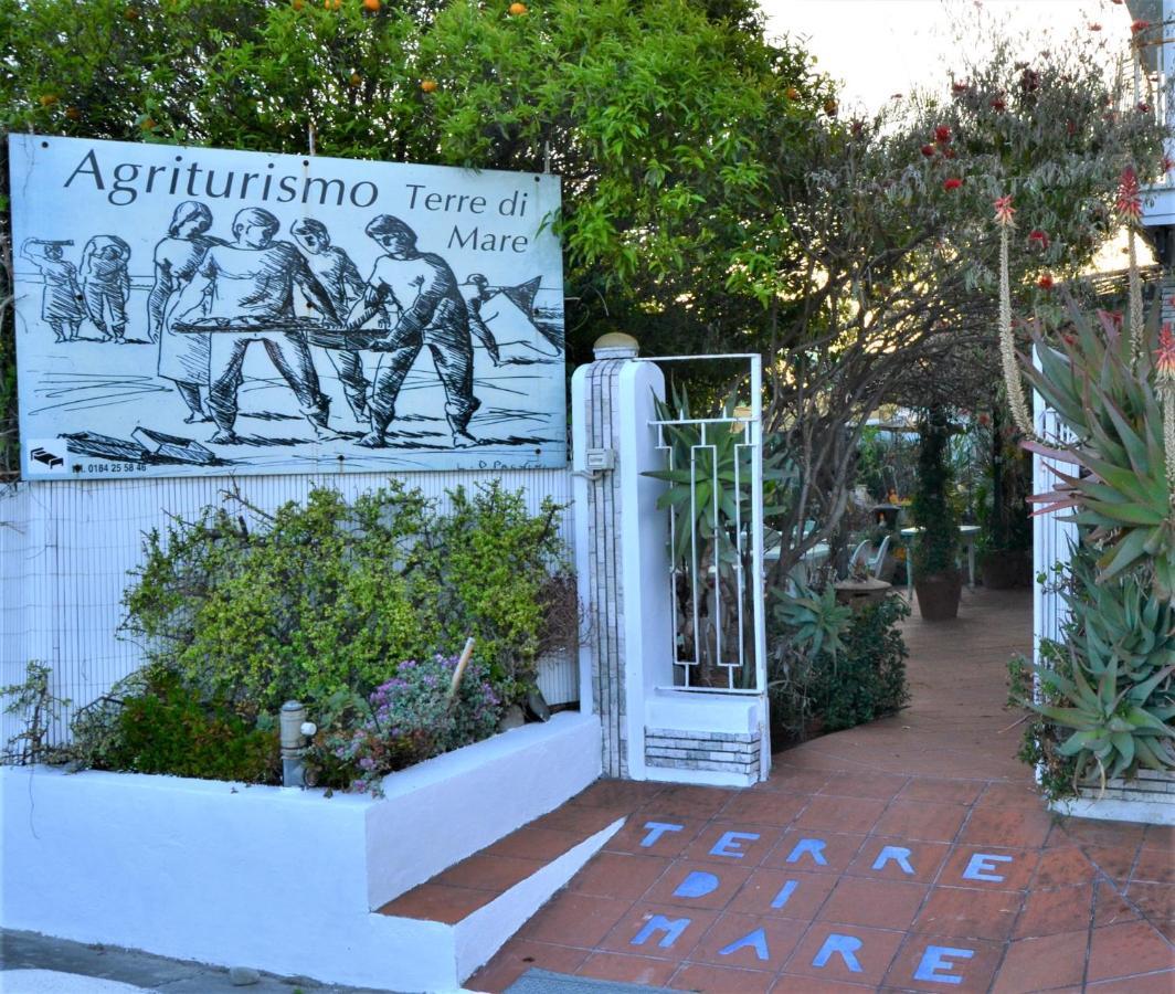 Agriturismo Terre Di Mare Bordighera Vallecrosia Extérieur photo