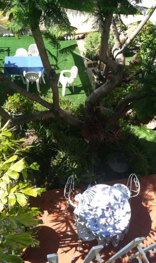 Agriturismo Terre Di Mare Bordighera Vallecrosia Extérieur photo
