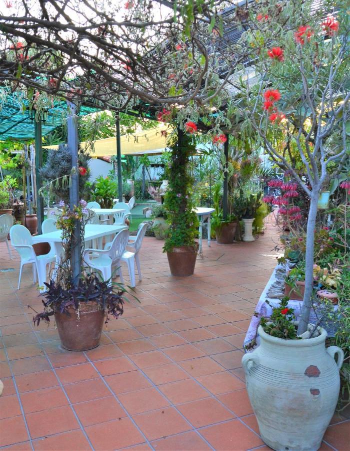 Agriturismo Terre Di Mare Bordighera Vallecrosia Extérieur photo