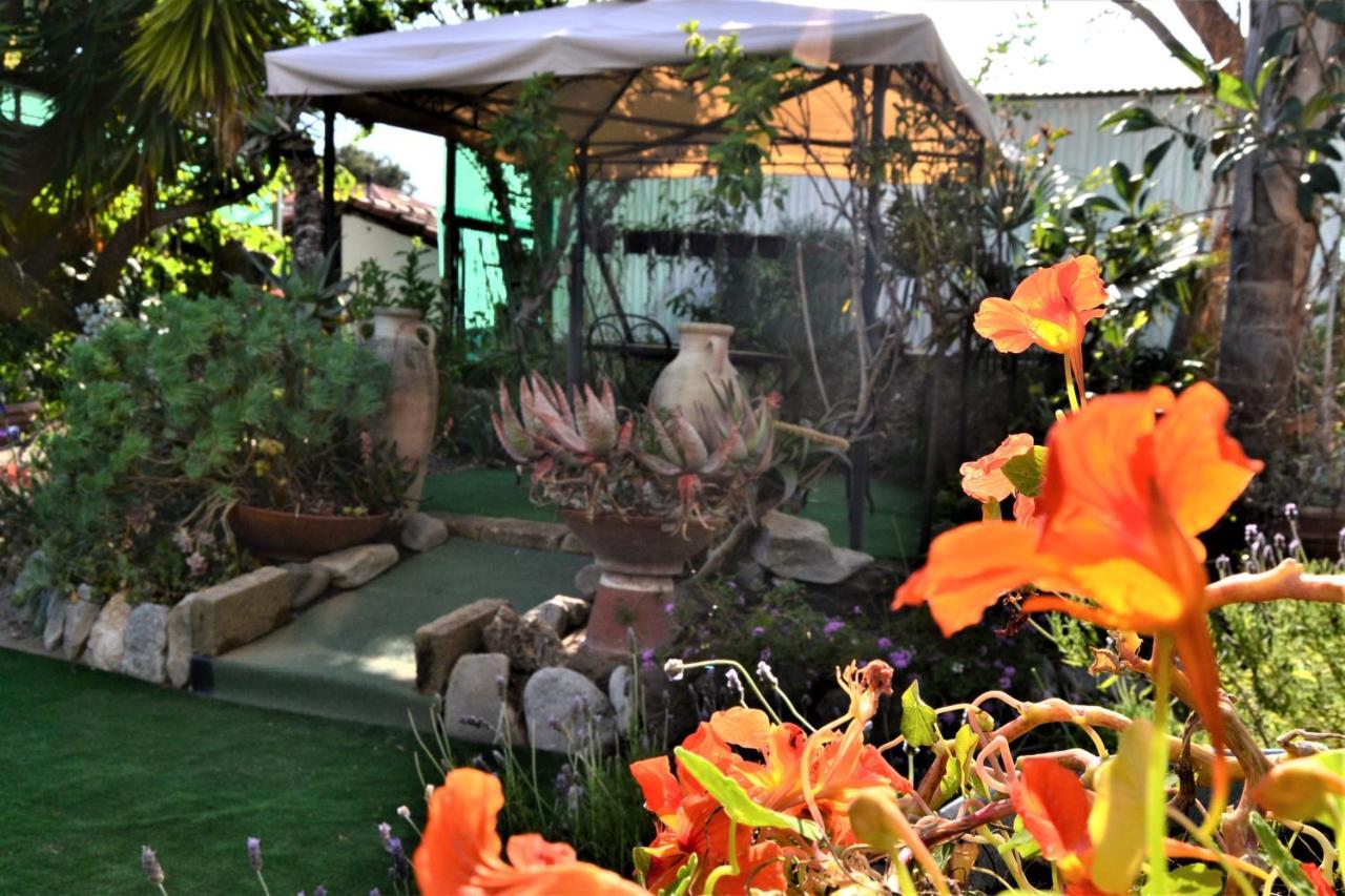 Agriturismo Terre Di Mare Bordighera Vallecrosia Extérieur photo